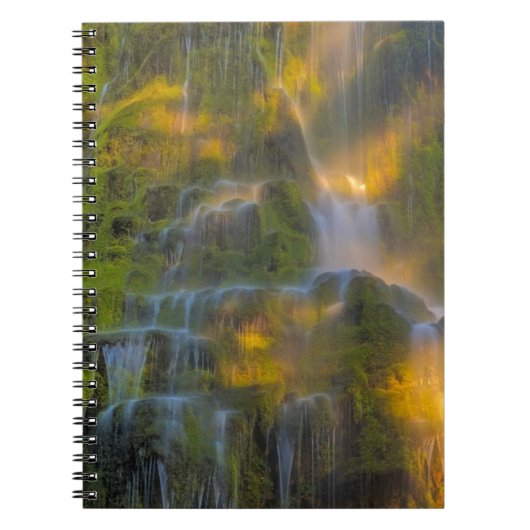 Carnet Proxy Falls Three Sisters Wilderness Oregon (Devant)