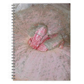 Carnet Prune de sucre (Devant)