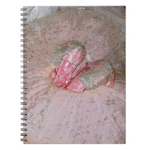Carnet Prune de sucre