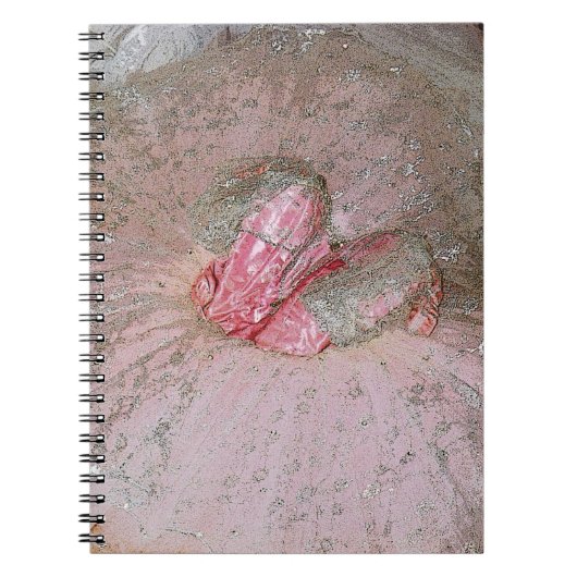 Carnet Prune de sucre (Devant)