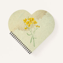Psilostrophe jaune Sparsiflora