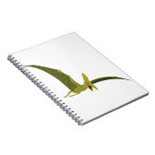 Carnet Ptérodactyle de vol (Côté Droit)