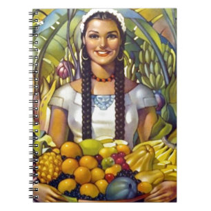 Carnet Publicité touristique vintage pour voyager au Mexi