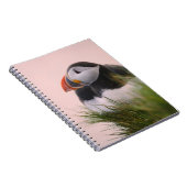 Carnet Puffin de l'Atlantique (Fratercula arctica) (Côté Droit)