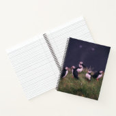 Carnet Puffins de l'Atlantique (Intérieur)
