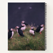 Carnet Puffins de l'Atlantique (Dos)