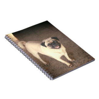 Carnet Pug design notebook (80 Pages)