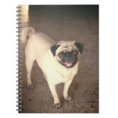 Carnet Pug design notebook (80 Pages) (Devant)
