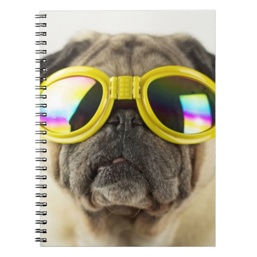 Carnet Pug with Goggles (Devant)