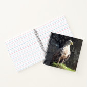 Carnet Puissant Pygargue à Queue Blanche Habitat de Falai (Intérieur)