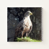 Carnet Puissant Pygargue à Queue Blanche Habitat de Falai (Dos)