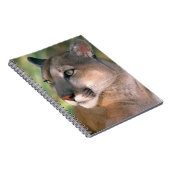 Carnet Puma, Californie (Côté Droit)