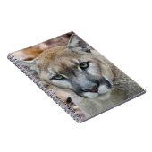 Carnet Puma, cougar, panthère de Floride, Puma (Côté Droit)