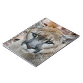 Carnet Puma, cougar, panthère de Floride, Puma (Côté gauche)