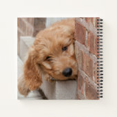 Carnet Puppy Peeking Goldendoodle (Dos)
