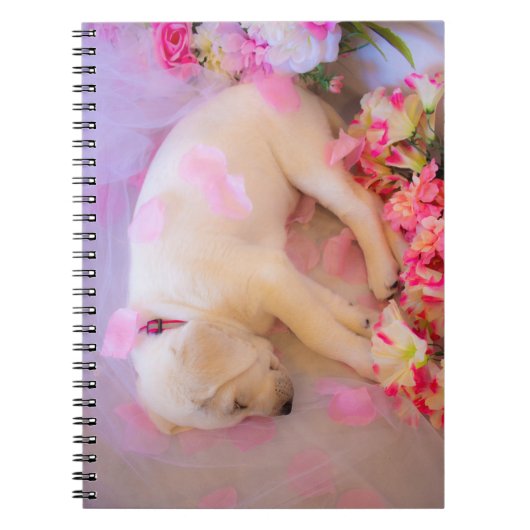 Carnet Puppy Sleepy (Devant)