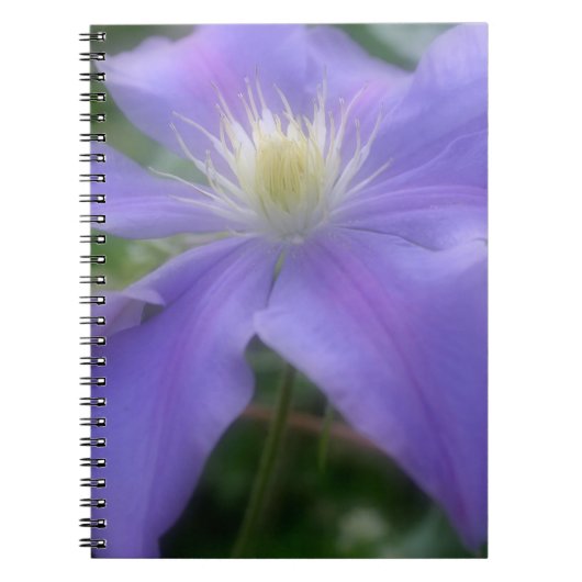 Carnet Purple Clematis Flower Nature (Devant)