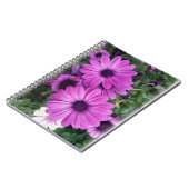 Carnet Purple daisies (Côté gauche)