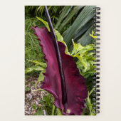 Carnet Purple Dragon Lily Bloom Botanique (Verso)