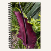 Carnet Purple Dragon Lily Bloom Botanique (Recto)