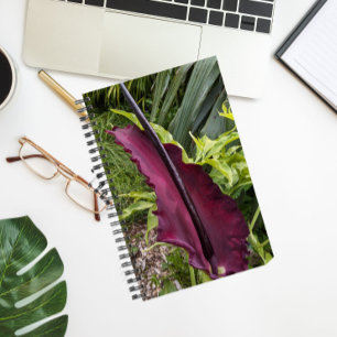 Carnet Purple Dragon Lily Bloom Botanique