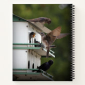 Carnet Purple Martin (Dos)