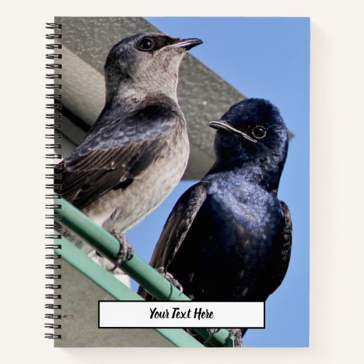 Carnet Purple Martin (Devant)