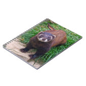 Carnet Putois (Côté gauche)