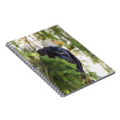 Carnet Pygargue à tête blanche perché dans un sapin de Do (Côté Droit)