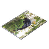Carnet Pygargue à tête blanche perché dans un sapin de Do (Côté gauche)