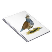 Carnet Quail à échelle (Côté Droit)