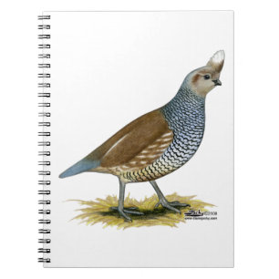 Carnet Quail à échelle