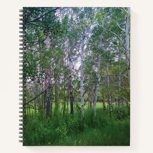 Carnet Quakies Spiral Notebook (Devant)