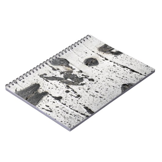 Carnet Quaking Aspen Bark Gros plan (Côté gauche)