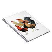 Carnet Quatre gamecocks (Côté Droit)