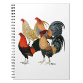 Carnet Quatre gamecocks (Devant)