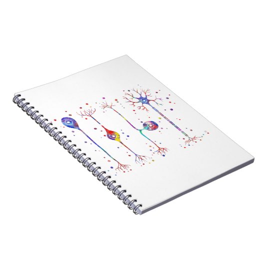 Carnet Quatre types de neurones (Côté Droit)