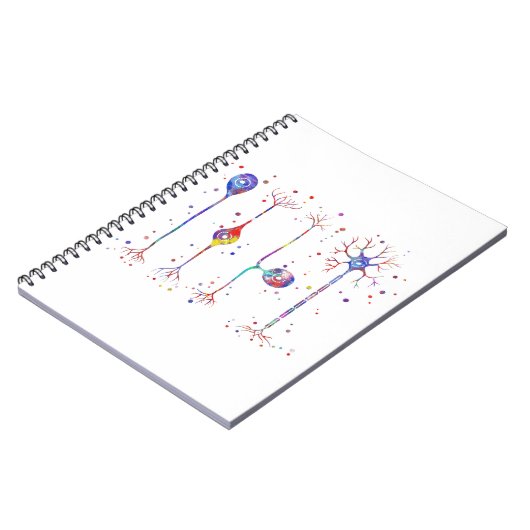 Carnet Quatre types de neurones (Côté gauche)