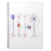 Carnet Quatre types de neurones (Devant)