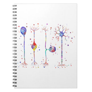 Carnet Quatre types de neurones