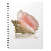 Carnet Queen Conch (Devant)