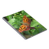 Carnet Question Mark Butterfly on Lantana (Côté Droit)