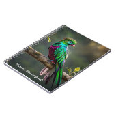 Carnet "Quetzal radiant" (Côté gauche)