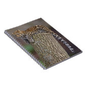 Carnet Queue de Léopard (Côté Droit)