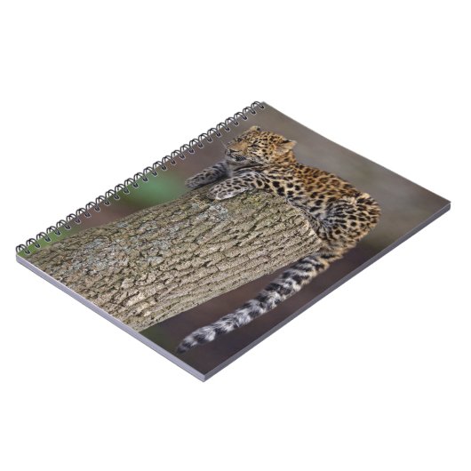 Carnet Queue de Léopard (Côté gauche)