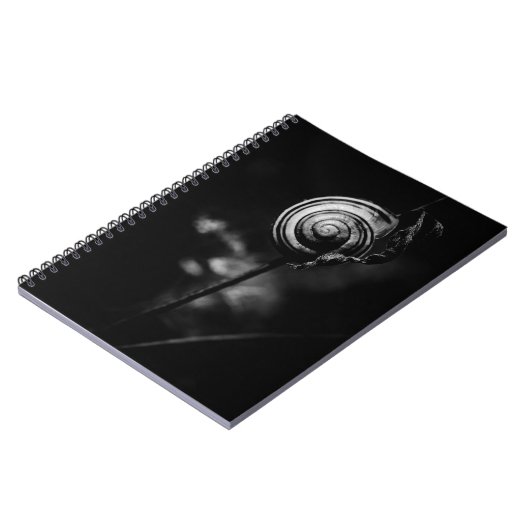 Carnet queue de l'escargot (Côté gauche)