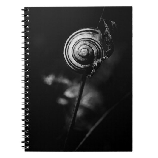 Carnet queue de l'escargot (Devant)