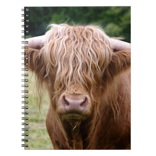 Carnet Qui a éteint les lumières Notebook (Devant)