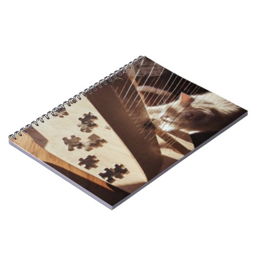 Carnet Quiet Practice (Côté gauche)