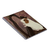 Carnet Quiet Recital – Guinea Pig Notebook (Côté Droit)